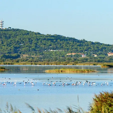 Le Sunset-cap Sud-24 By Interhome *